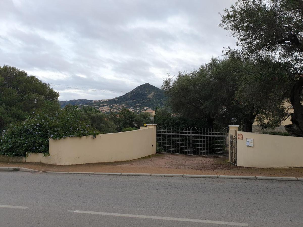Villa Athena LʼÎle-Rousse エクステリア 写真