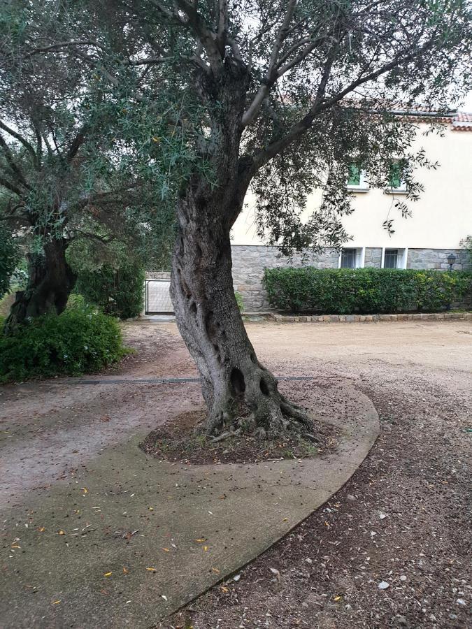 Villa Athena LʼÎle-Rousse エクステリア 写真